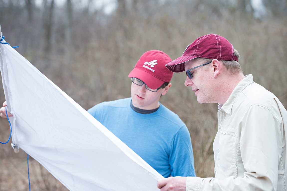 Marten Edwards - Tick Research